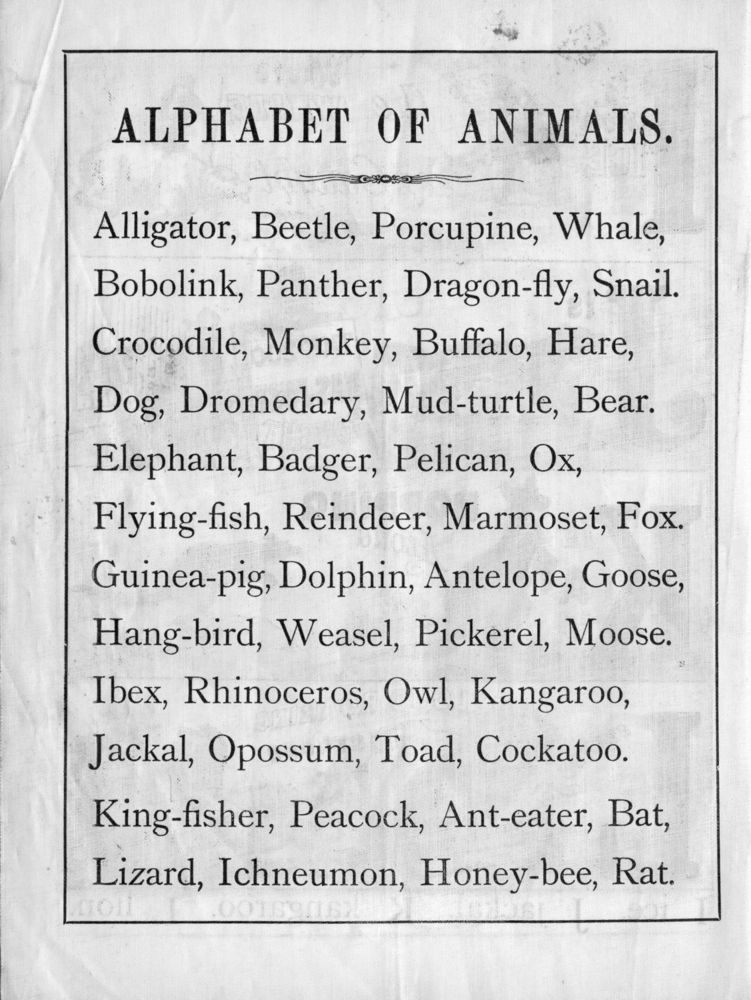 Scan 0008 of The ABC of animals [State 2]