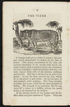 Thumbnail 0008 of Animal biography, or, Book of natural history