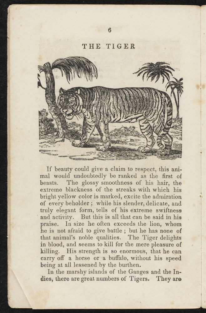 Scan 0008 of Animal biography, or, Book of natural history
