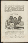Thumbnail 0012 of Animal biography, or, Book of natural history
