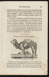Thumbnail 0013 of Animal biography, or, Book of natural history