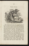 Thumbnail 0017 of Animal biography, or, Book of natural history