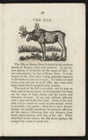 Thumbnail 0019 of Animal biography, or, Book of natural history