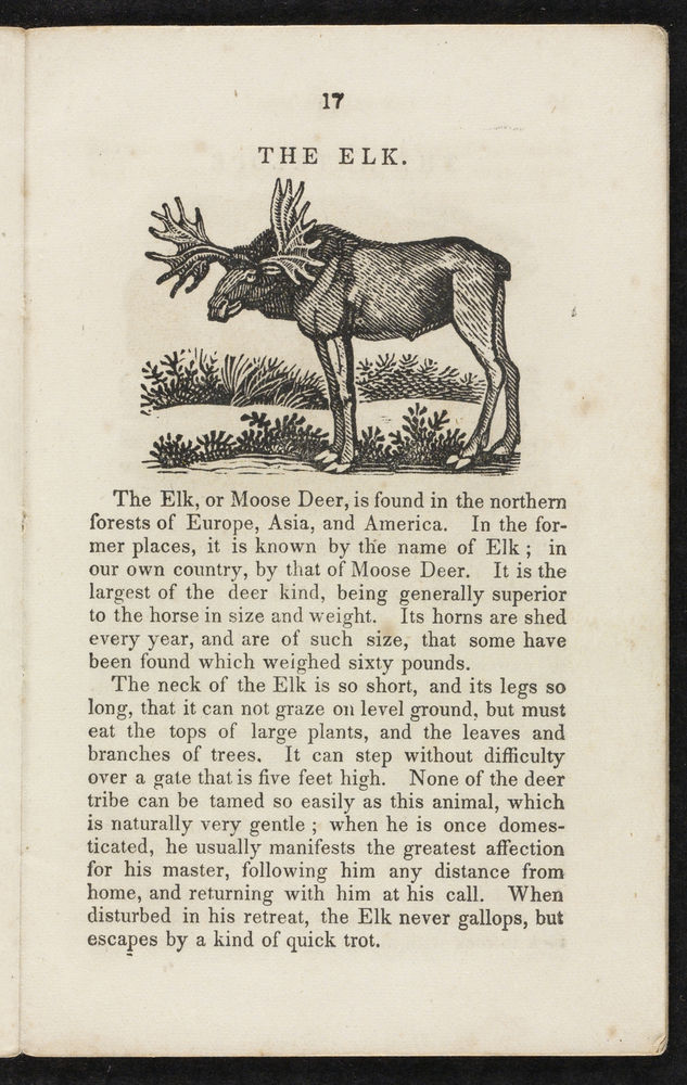 Scan 0019 of Animal biography, or, Book of natural history
