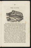 Thumbnail 0021 of Animal biography, or, Book of natural history