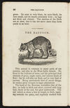 Thumbnail 0022 of Animal biography, or, Book of natural history