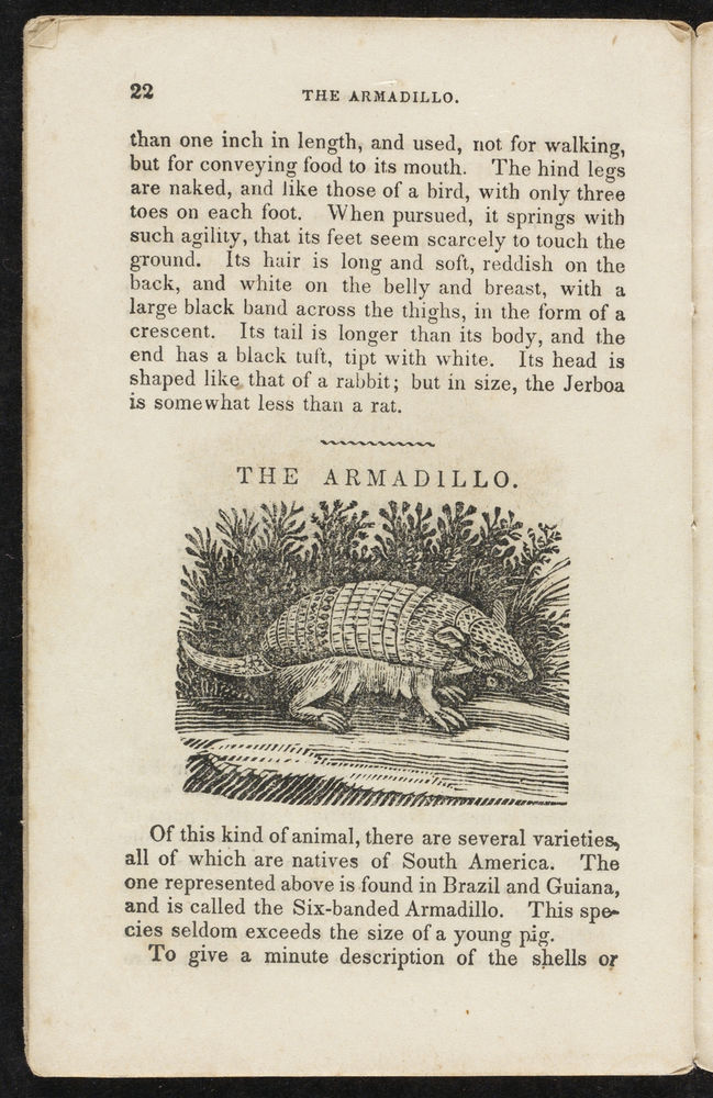 Scan 0024 of Animal biography, or, Book of natural history