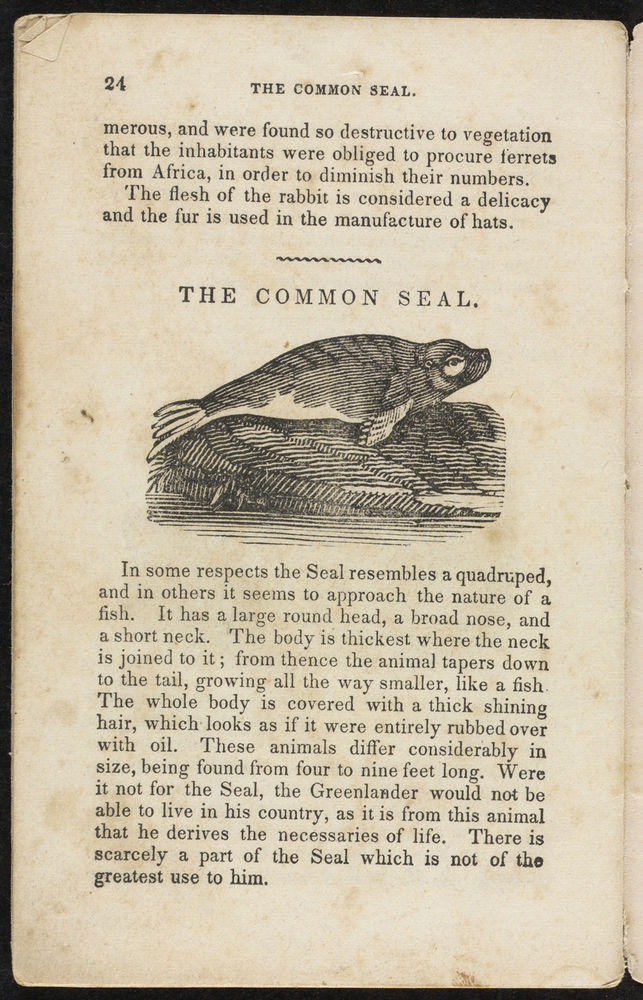 Scan 0026 of Animal biography, or, Book of natural history