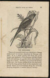 Thumbnail 0015 of The aviary, or, Child