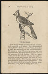 Thumbnail 0018 of The aviary, or, Child