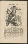 Thumbnail 0019 of The aviary, or, Child