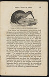 Thumbnail 0025 of The aviary, or, Child