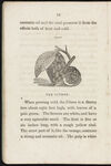 Thumbnail 0012 of The book of fruits