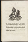 Thumbnail 0014 of The book of fruits