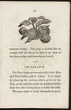 Thumbnail 0023 of The book of fruits