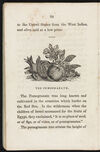 Thumbnail 0026 of The book of fruits