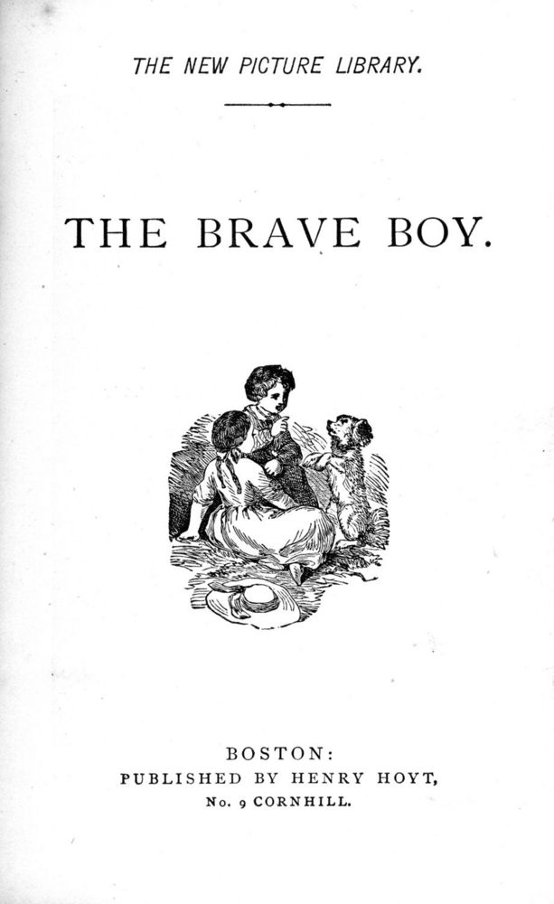 Scan 0005 of Brave boy