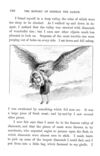 Thumbnail 0101 of Favourite stories for the nursery