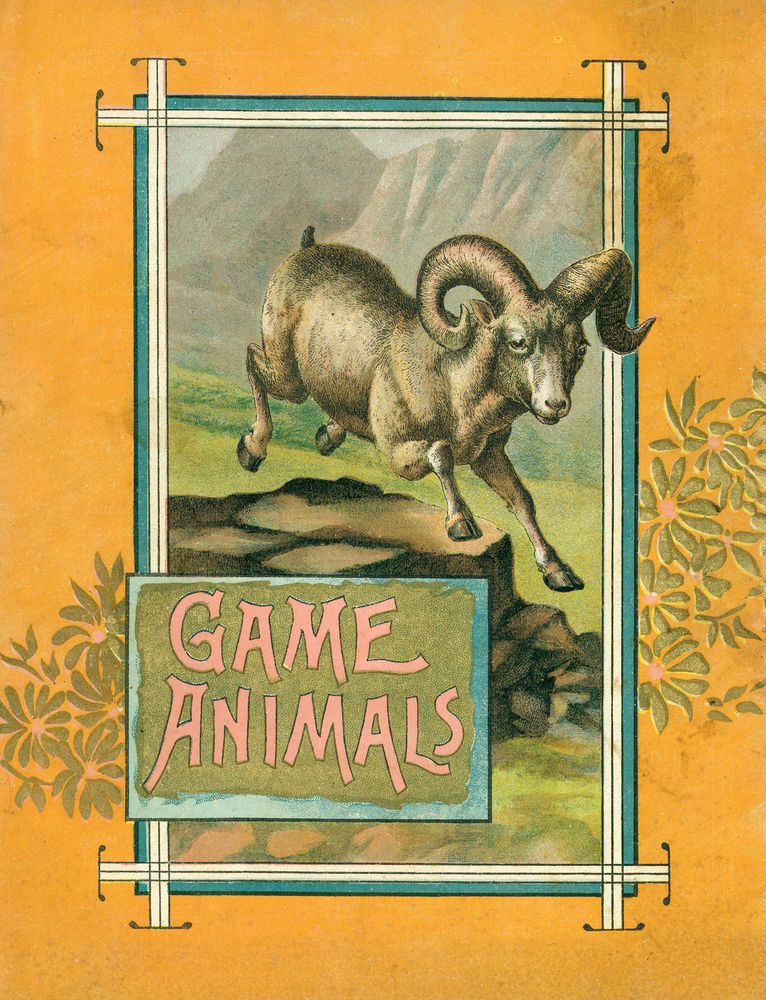 Scan 0016 of Game animals