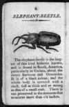 Thumbnail 0008 of The history of insects