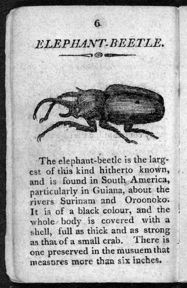 Scan 0008 of The history of insects