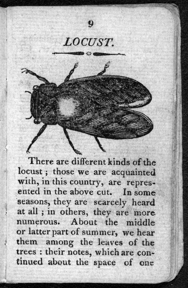 Scan 0011 of The history of insects