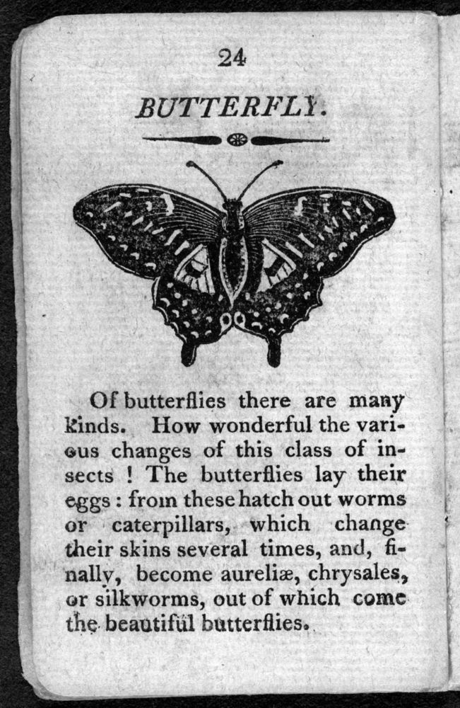 Scan 0026 of The history of insects