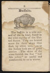 Thumbnail 0010 of A history of beasts for the use of children