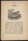 Thumbnail 0014 of The history of birds