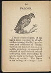 Thumbnail 0016 of The history of birds