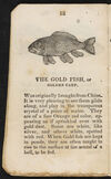 Thumbnail 0012 of The history of curious and wonderful fish