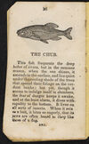 Thumbnail 0014 of The history of curious and wonderful fish