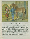 Thumbnail 0012 of Little childs home A B C book