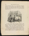 Thumbnail 0014 of The morning star, or, Stories about the childhood of Jesus