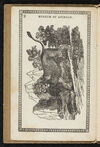 Thumbnail 0006 of Museum of foreign animals, or, History of beasts