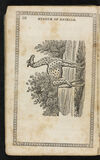 Thumbnail 0012 of Museum of foreign animals, or, History of beasts