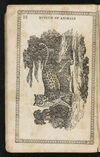 Thumbnail 0014 of Museum of foreign animals, or, History of beasts