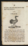 Thumbnail 0012 of Natural history of birds