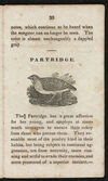 Thumbnail 0023 of Natural history of birds