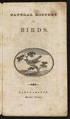 Thumbnail 0005 of Natural history of birds