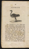 Thumbnail 0014 of Natural history of birds