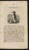 Thumbnail 0017 of Natural history of birds
