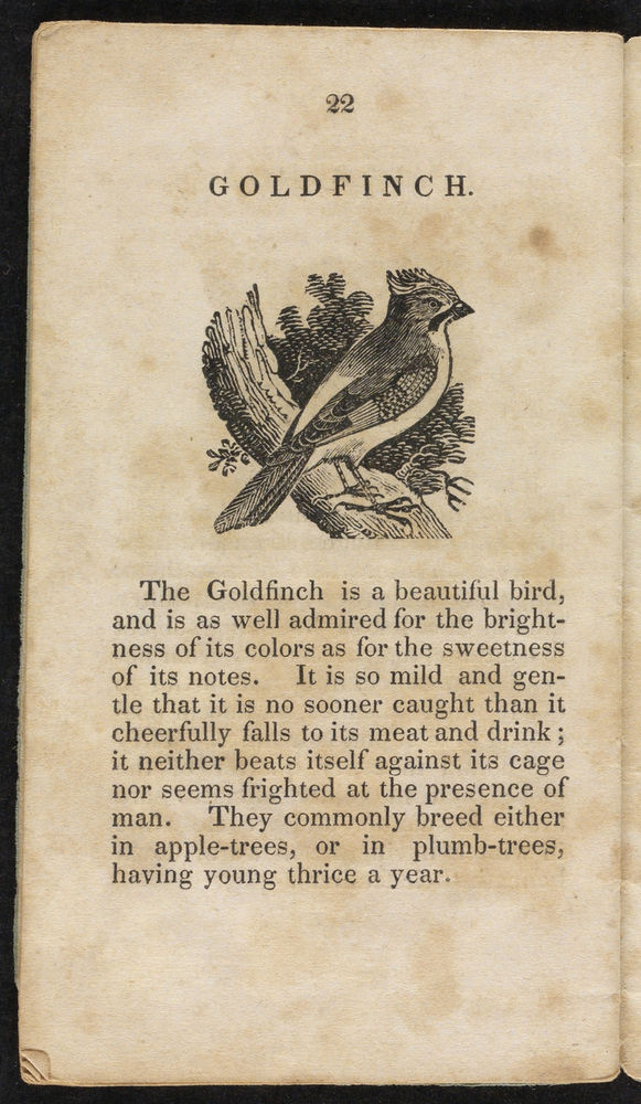 Scan 0024 of Natural history of birds