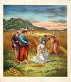 Thumbnail 0003 of Shepherd king and other Bible stories