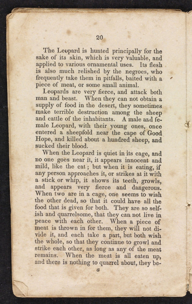 Scan 0022 of Stories about the lion, elephant, dromedary, tiger, panther, leopard, ounce, cougar, and jaguar