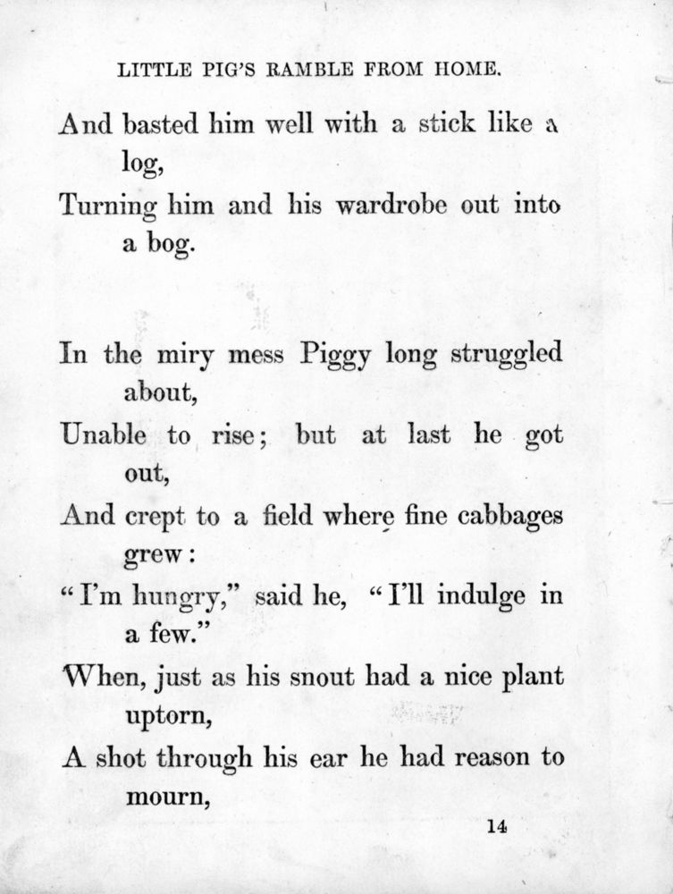 Scan 0043 of Surprising stories about the mouse and her sons, and the funny pigs