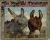 Thumbnail 0001 of The book of donkeys