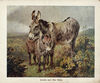 Thumbnail 0003 of The book of donkeys