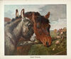 Thumbnail 0008 of The book of donkeys