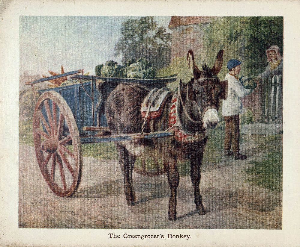 Scan 0014 of The book of donkeys